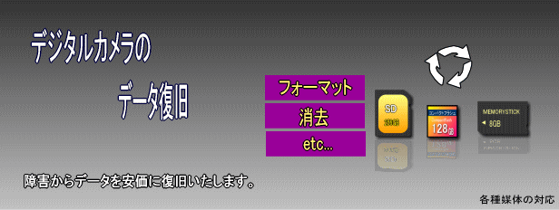 デジタルカメラデータ復旧サービス
