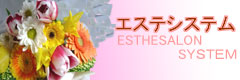 Webエステ販売管理